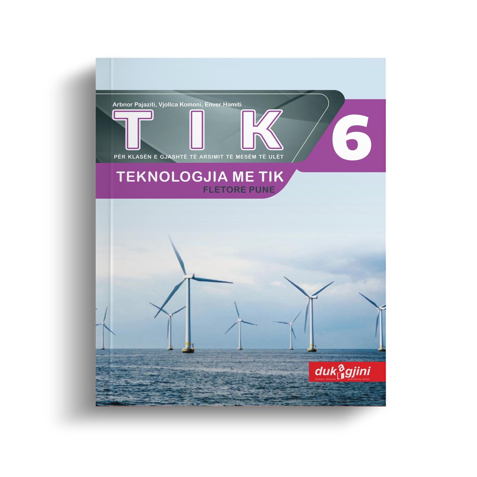 TEKNOLOGJIA ME TIK 6  (FLETORE PUNE)