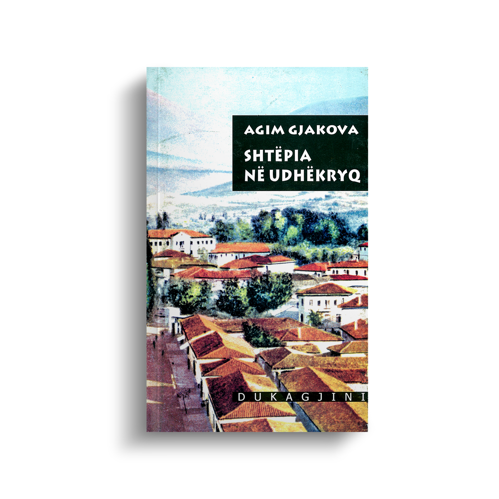 SHTËPIA NË UDHËKRYQ