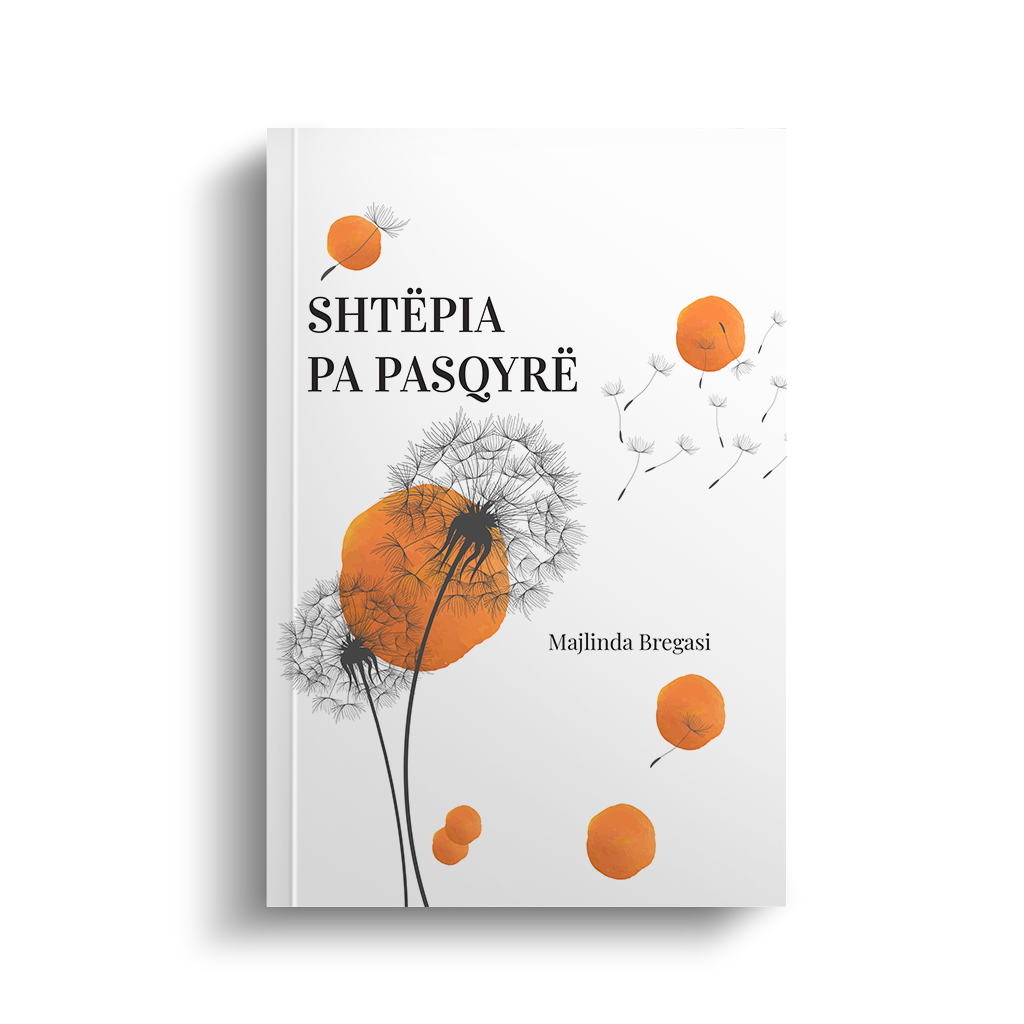 SHTËPIA PA PASQYRË